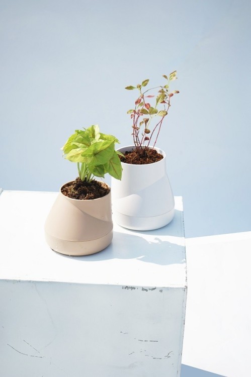 Горшок цветочный hill pot, маленький, кремовый (62161) Горшок цветочный hill pot, маленький, кремовый (62161)