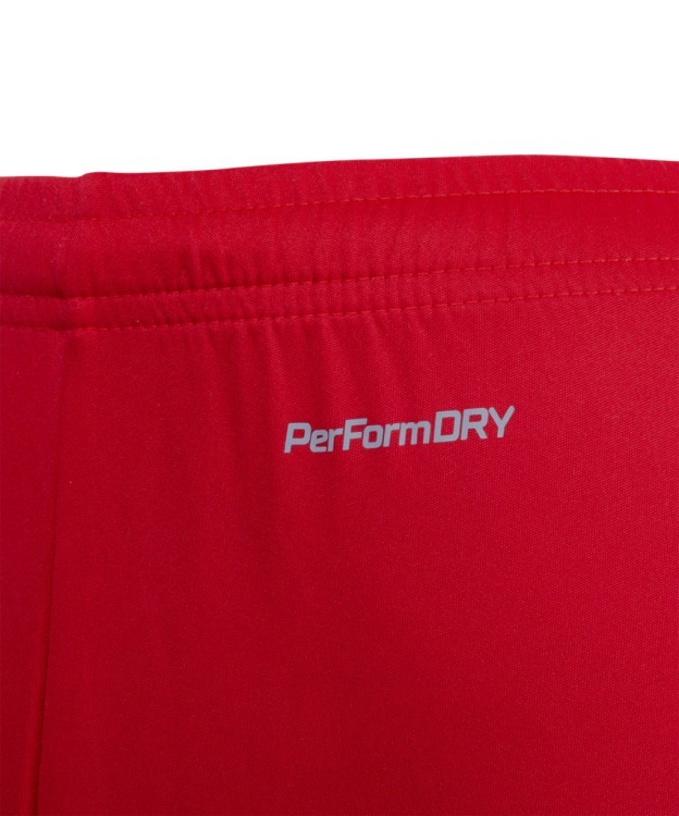 Шорты игровые DIVISION PerFormDRY Union Shorts, красный/темно-красный/белый (1751783) Шорты игровые DIVISION PerFormDRY Union Shorts, красный/темно-красный/белый (1751783)