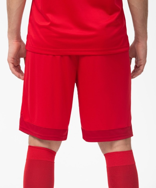 Шорты игровые DIVISION PerFormDRY Union Shorts, красный/ темно-красный/белый (1751783)