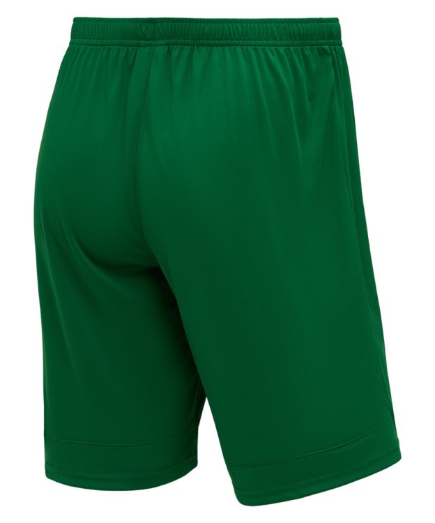 Шорты игровые DIVISION PerFormDRY Union Shorts, зеленый (2111829) Шорты игровые DIVISION PerFormDRY Union Shorts, зеленый (2111829)