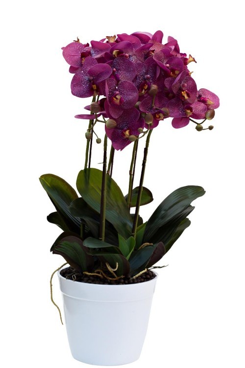 Орхидея темно-розовая в горшке, 64 см (TT-00000840)