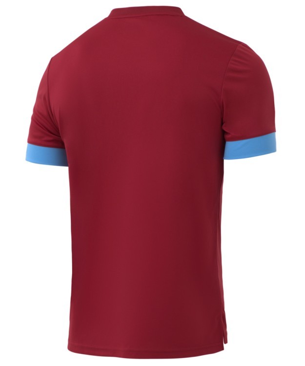 Футболка игровая DIVISION PerFormDRY Union Jersey, гранатовый/голубой/белый (1751888) Футболка игровая DIVISION PerFormDRY Union Jersey, гранатовый/голубой/белый (1751888)