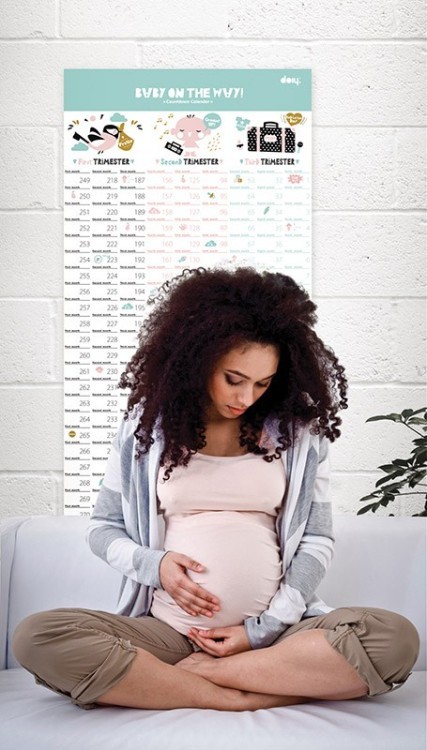 Календарь для беременных baby on the way (43714)