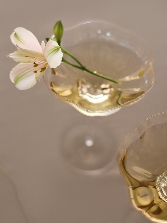 Набор креманок bloom в подарочной упаковке, 260 мл, 2 шт. (79044)