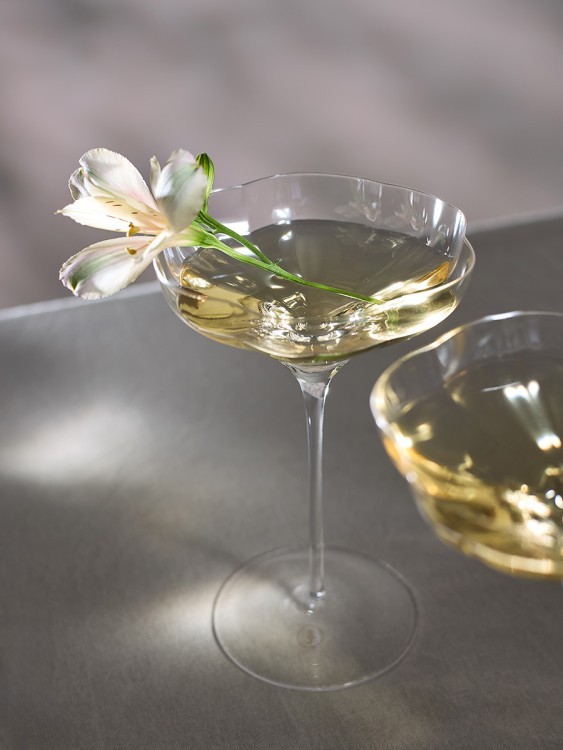 Набор креманок bloom в подарочной упаковке, 260 мл, 2 шт. (79044)