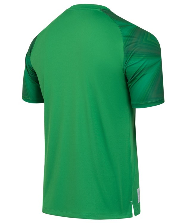 Футболка вратарская JÖGEL NATIONAL PerFormDRY GK Jersey, зеленый (2112635) Футболка вратарская JÖGEL NATIONAL PerFormDRY GK Jersey, зеленый (2112635)
