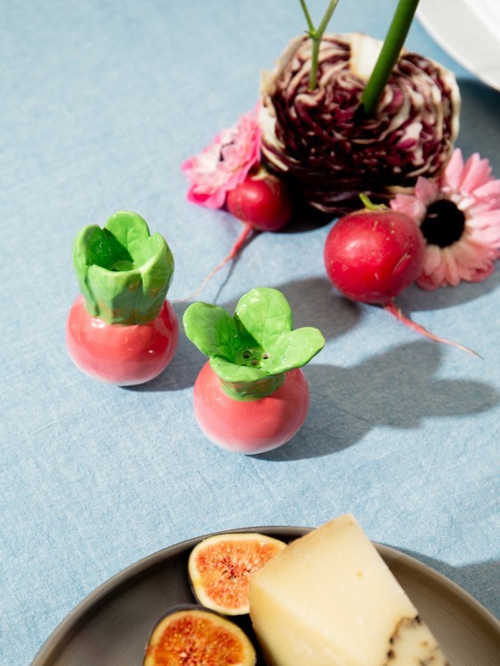 Набор из солонки и перечницы radish (80190)