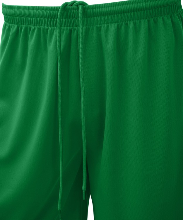 Шорты баскетбольные JÖGEL CAMP Basic, зеленый (1619701) Шорты баскетбольные JÖGEL CAMP Basic, зеленый (1619701)
