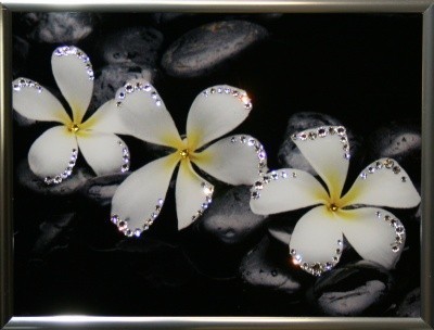 Картина Белые цветы с кристаллами Swarovski (1584)