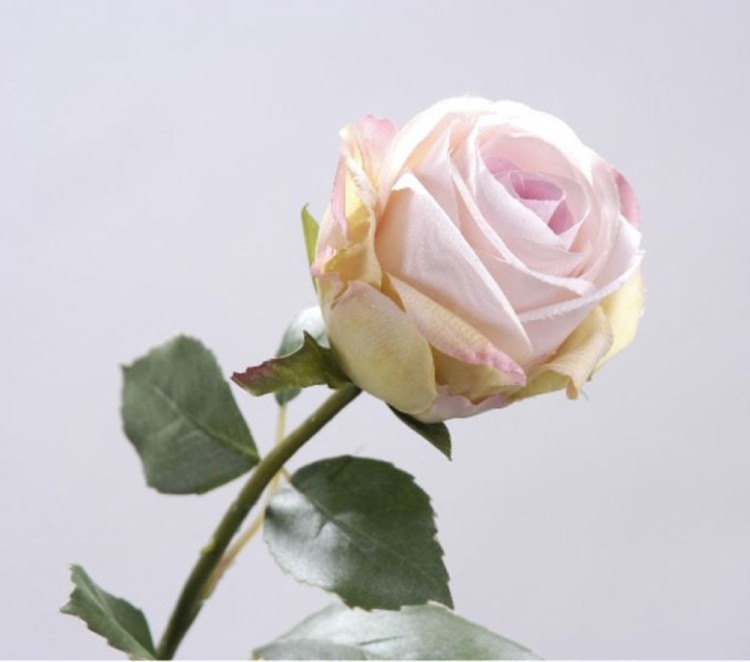 Цветок искусственный "розовая роза" длина=66 см. Silk-Ka B.v. (654-025) 