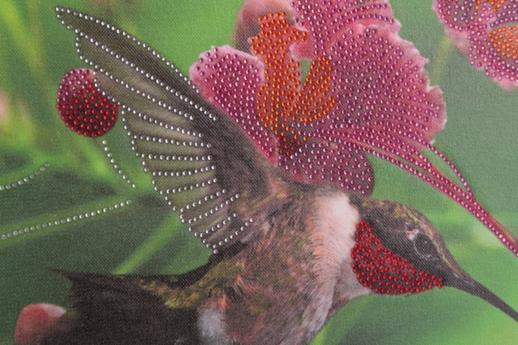 Картина колибри, стразы,55х35см (562-037-28) 