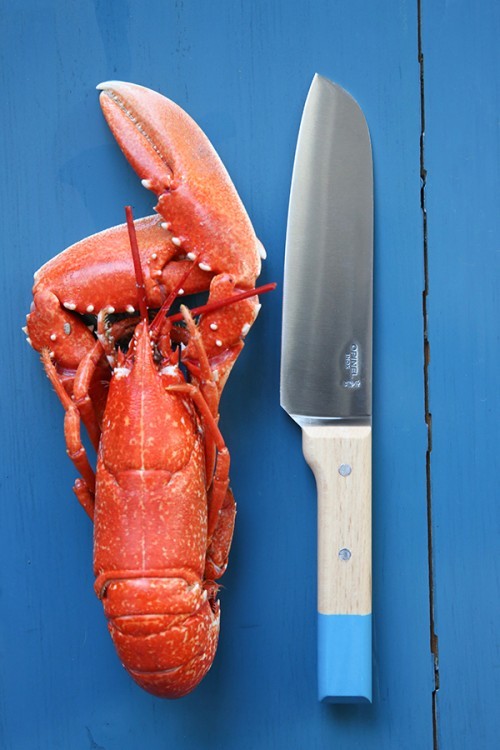 Нож кухонный parallele Сантоку серо-голубой 17 см (58965)