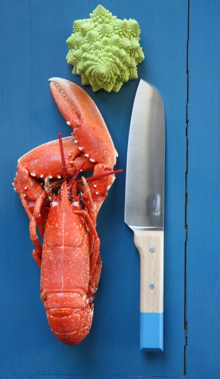 Нож кухонный parallele Сантоку серо-голубой 17 см (58965)